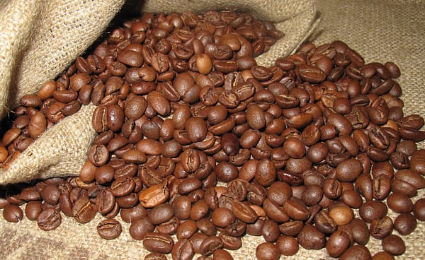Scopri il mondo dei caffè in grani: dalla varietà alla preparazione