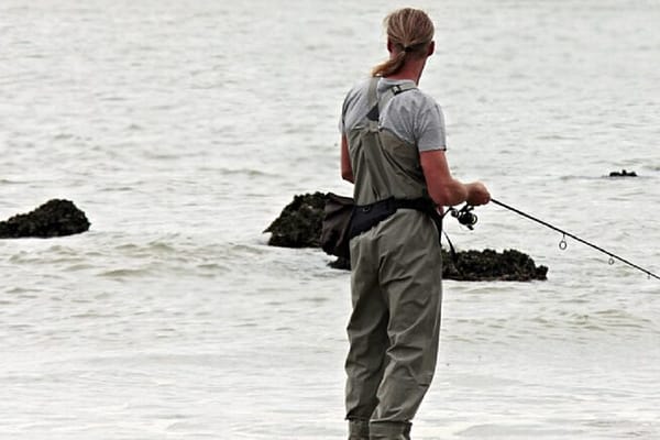 Dove acquistare i prodotti per la pesca?
