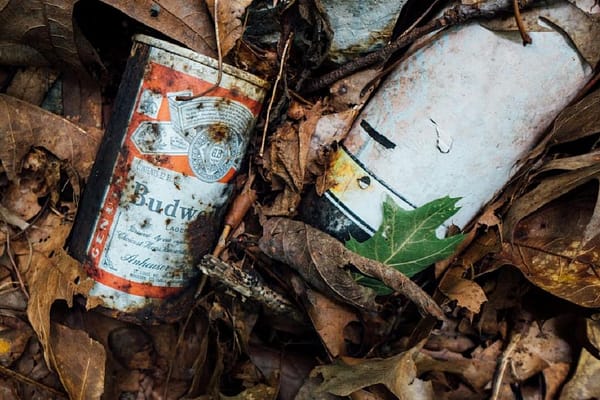 Attenzione: una fototrappola per rifiuti può aiutarti a preservare l’ambiente