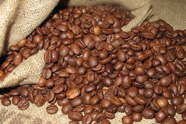 Scopri il mondo dei caffè in grani: dalla varietà alla preparazione